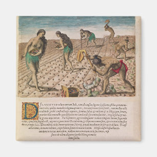 Imán Indios de la Florida que plantan el maíz