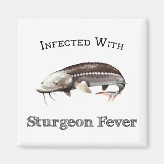 Imán Infectada Con Fiebre De Turbón