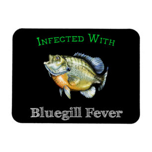 Imán Infectada con fiebre del Bluegill
