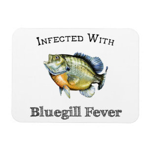 Imán Infectada con fiebre del Bluegill