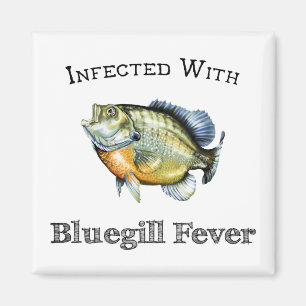 Imán Infectada con fiebre del Bluegill