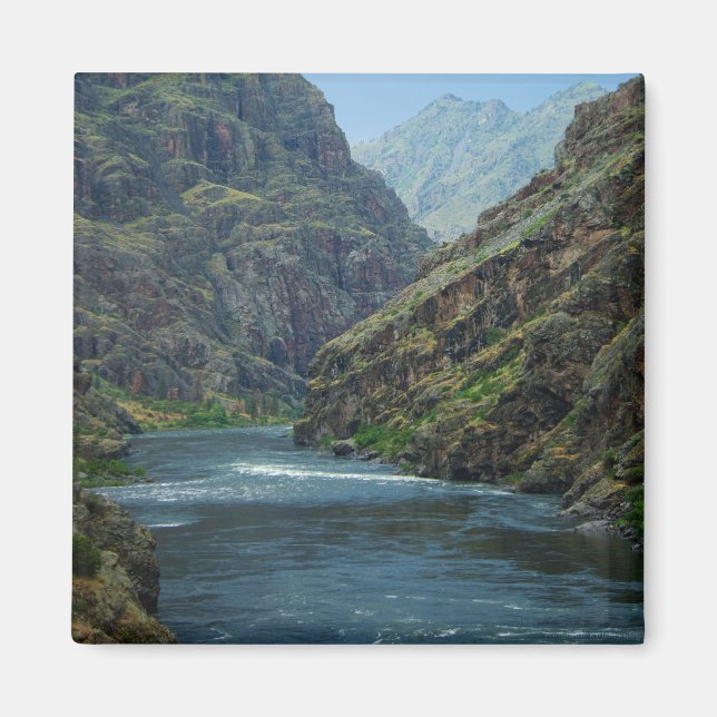 Imán Infierno Cañón P5490 Magnet (Frente)