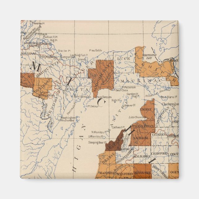 Imán Influenza Michigan (Frente)