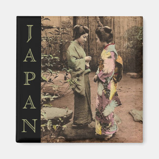 Imán Ingreso a Japón