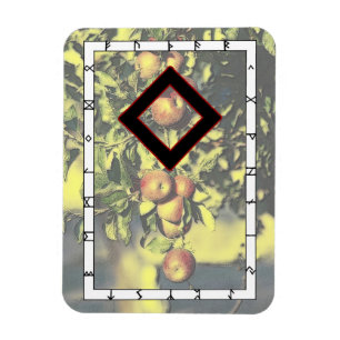 Imán Ingwaz Viking Rune Magnet - ¡Héroe!