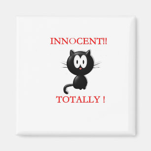 Imán inocente del gatito