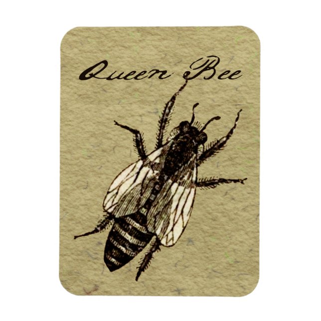 Imán Inscripción de Bug de Vida Silvestre Queen Bee (Vertical)