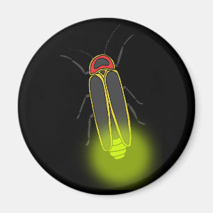 Imán insecto de relámpago encendido