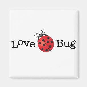 Imán Insecto del amor - mariquita