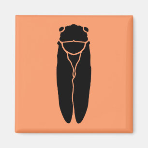 Imán Insecto negro de la cigarra