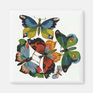 Imán Insectos antiguos o bichos, hermosas mariposas