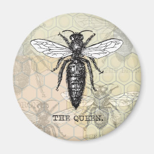 Imán Insectos de error de Ilustracion de abeja de reina