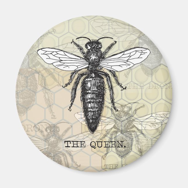 Imán Insectos de error de Ilustracion de abeja de reina (Frente)