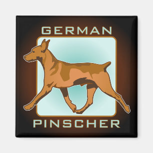 Imán Insignia alemana del Pinscher, cuadrado