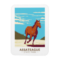 Insignia de Maryland del Parque Estatal Assateague