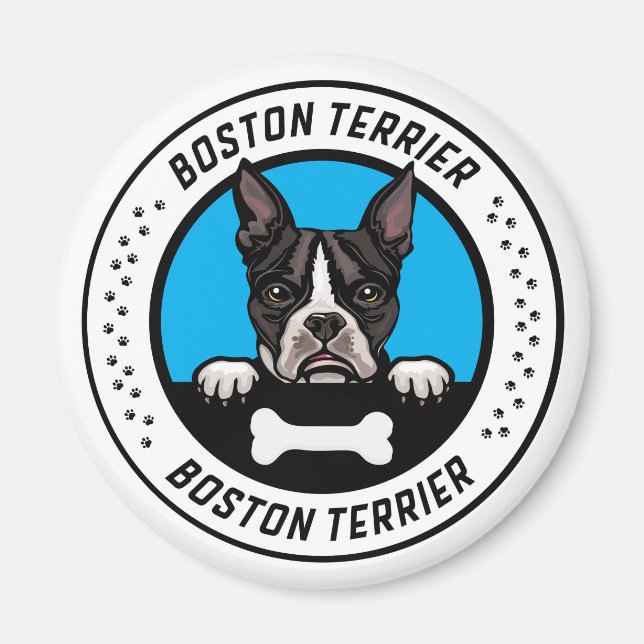 Imán Insignia del Ilustracion de Peeking Terrier de Bos (Frente)