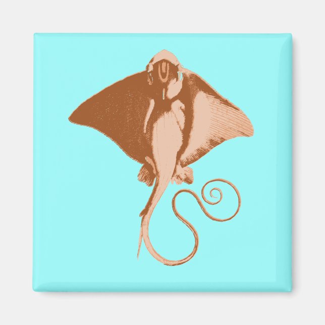 Imán insignificante (Frente)