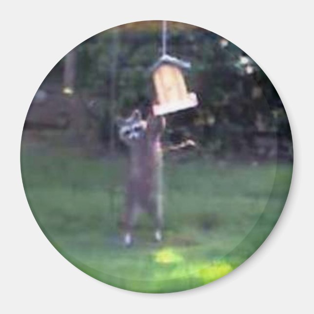 Imán Inspector Raccoon (Frente)