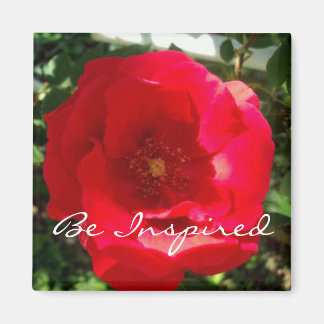 Imán Inspiración en el florecimiento rojo
