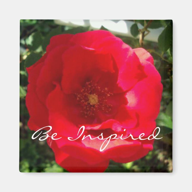 Imán Inspiración en el florecimiento rojo (Frente)