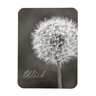 Imán Inspirado Wish Dandelion