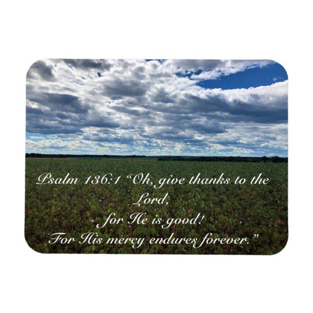 Imán Inspirador campo de "Dar gracias" del algodón (Horizontal)