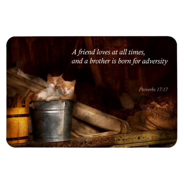 Imán Inspirador - Gato - Cubo de diversión (Horizontal)