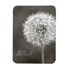 Imán Inspired Wish Dandelion