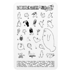 Imán interesante de los Manatees