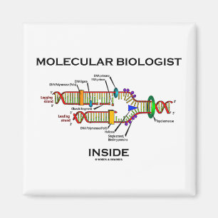 Imán Interior del biólogo molecular (réplica de la DN