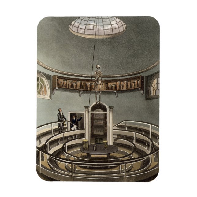 Imán Interior del Teatro de Anatomía, Cambridge, desde (Vertical)