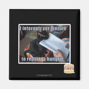 Imán Interrumpo YER Leezure