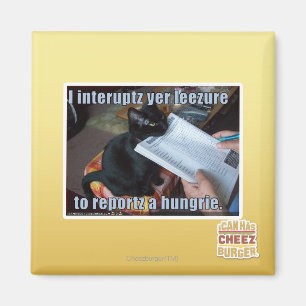 Imán Interrumpo YER Leezure