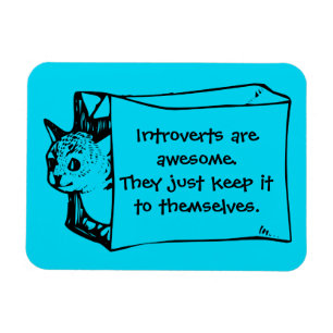 Imán Introverts es gato impresionante en un pegatina