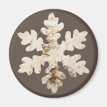 Invernadero rústico Copo de nevada marrón blanco