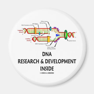 Imán Investigación y desarrollo de ADN