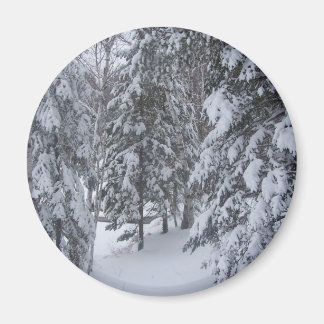 Imán invierno