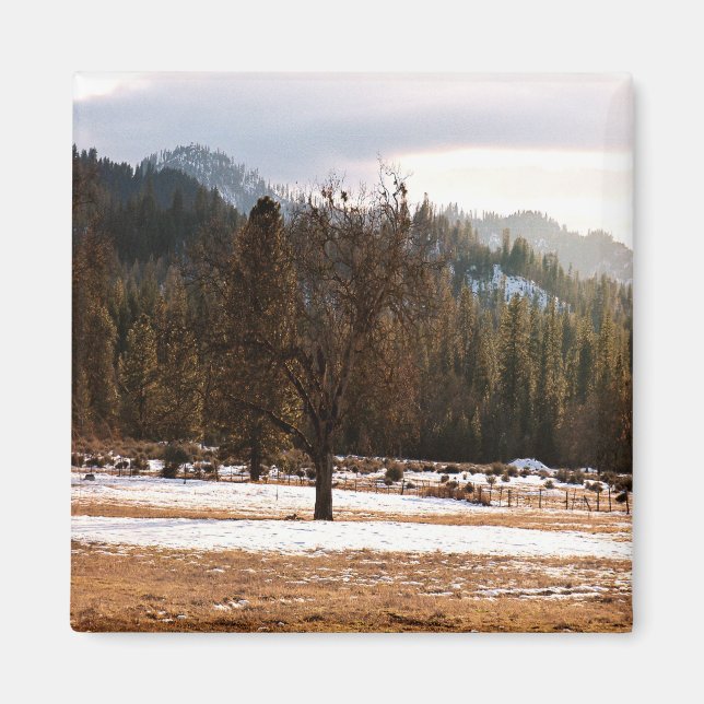 Imán Invierno..... (Frente)