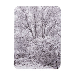 Imán Invierno con paisaje de nieve