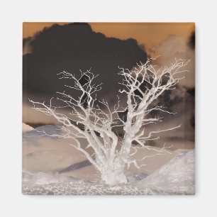 IMÁN INVIERNO DE MONTAÑA