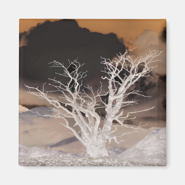 IMÁN INVIERNO DE MONTAÑA (Frente)