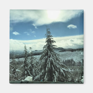 Imán Invierno en el bosque estatal de Tillamook, Oregón