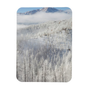 Imán Invierno en el Bosque Nacional Pike