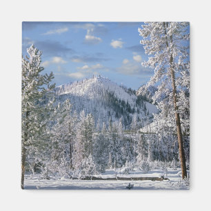 Imán Invierno en el Parque Nacional Yellowstone, Wyomin