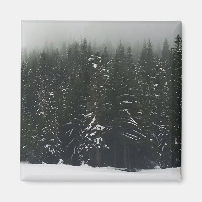 Imán Invierno en la Selva de Montaña, Oregón (Frente)