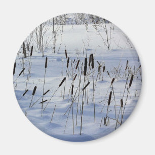 Imán Invierno en Quebec, Canadá