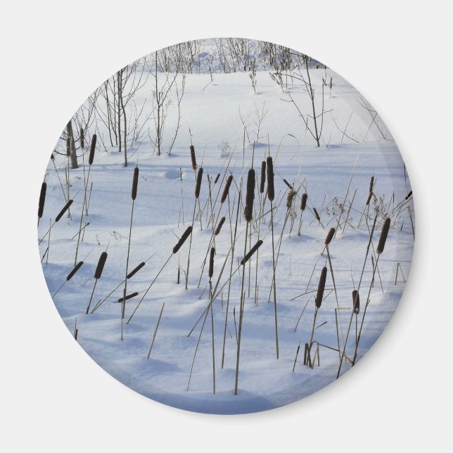 Imán Invierno en Quebec, Canadá (Frente)