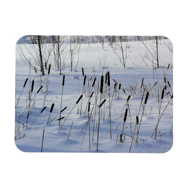 Imán Invierno en Quebec, Canadá (Horizontal)