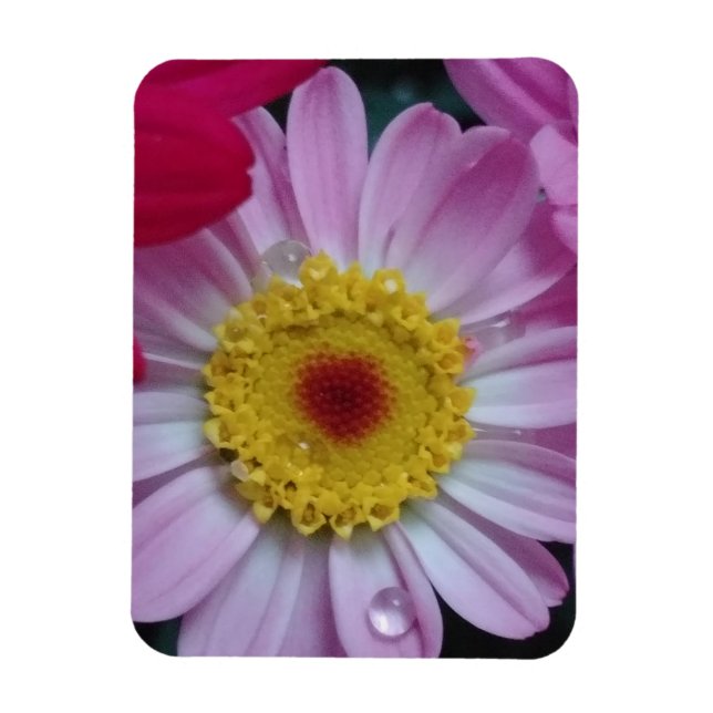 Imán Invitación (Vertical)