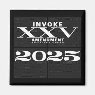 Imán Invocar la 25ª Enmienda 2025 [qué Txt]